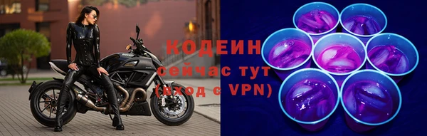 прущие грибы Козельск