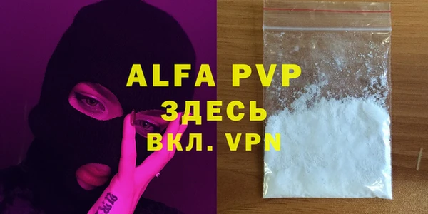 прущие грибы Козельск