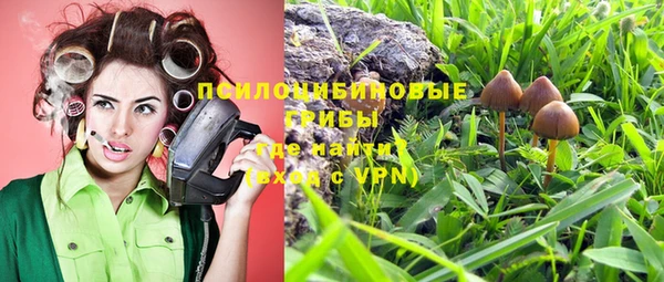 гидропоника Козловка