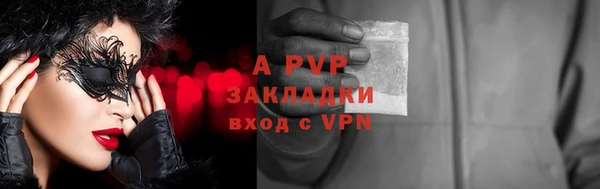 прущие грибы Козельск