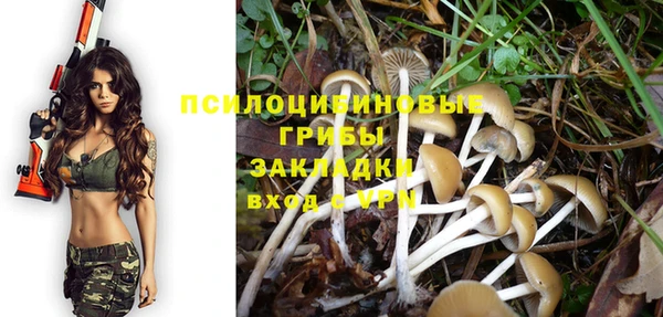 соль ск Кодинск