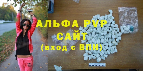 прущие грибы Козельск