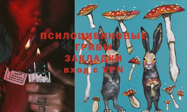 гидропоника Козловка