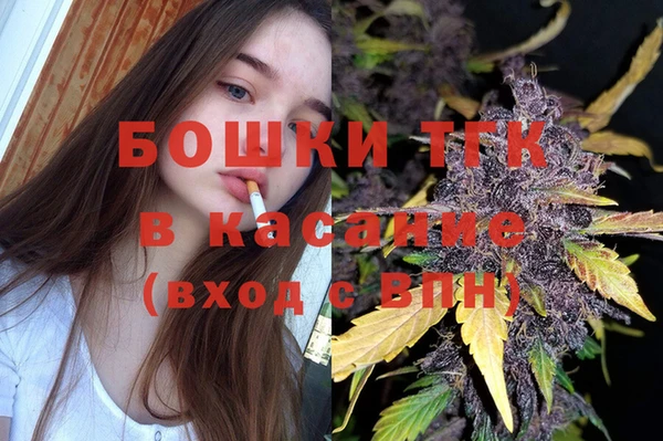 прущие грибы Козельск