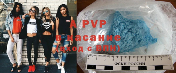 прущие грибы Козельск