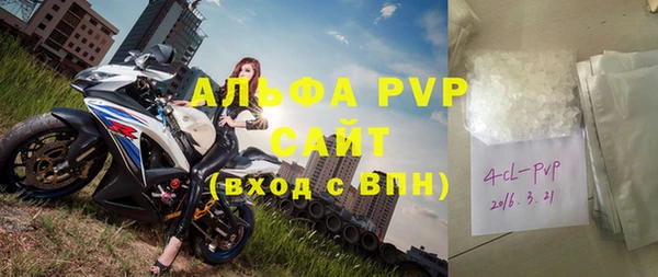 прущие грибы Козельск