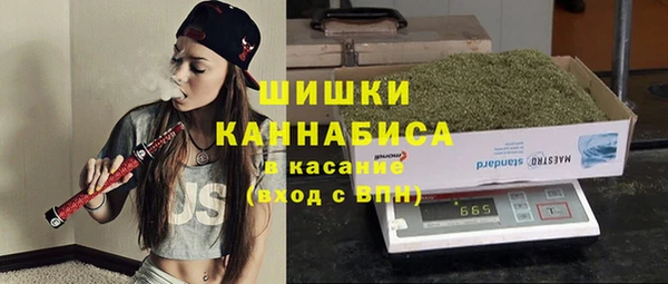 прущие грибы Козельск