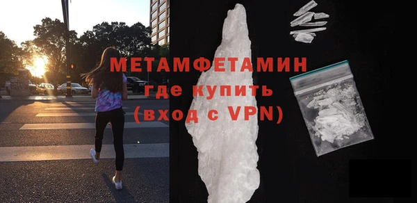 прущие грибы Козельск