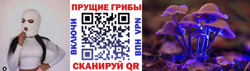 Купить  Сургут  Псилоцибиновые грибы мицелий 